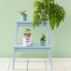Natuurverf & pleister