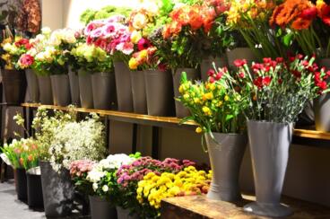 slideshow1_11