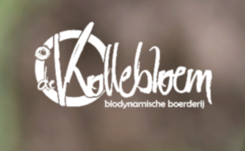 De Kollebloem