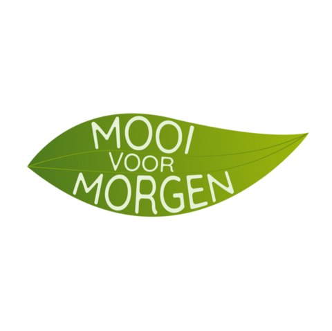 Meer dan Mooi