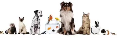 Dierenspeciaalzaak Haesen