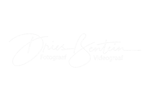 Dries Bentein