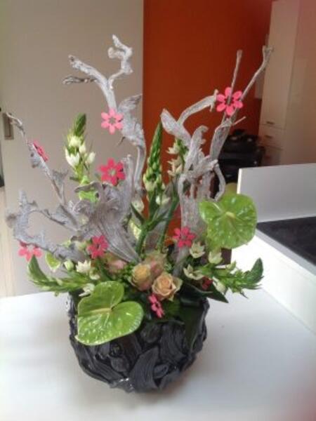New Creation