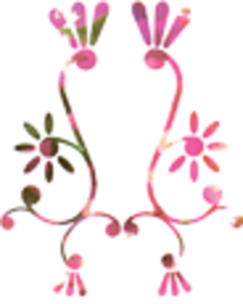 Bloemen De Lente