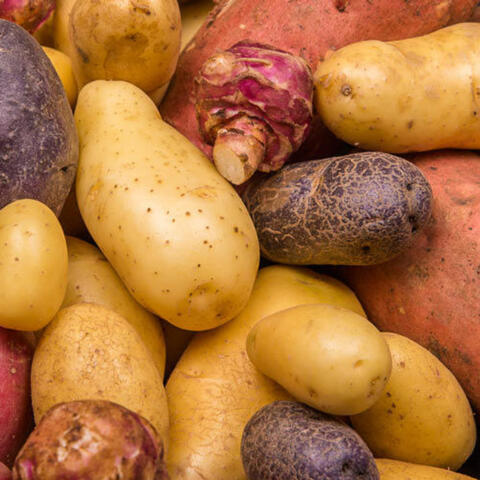 Aardappelen