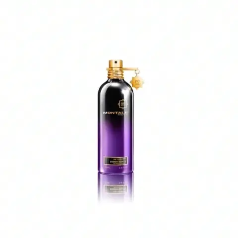 MONTALE INTENSE STARRY NIGHTS 100 ML
