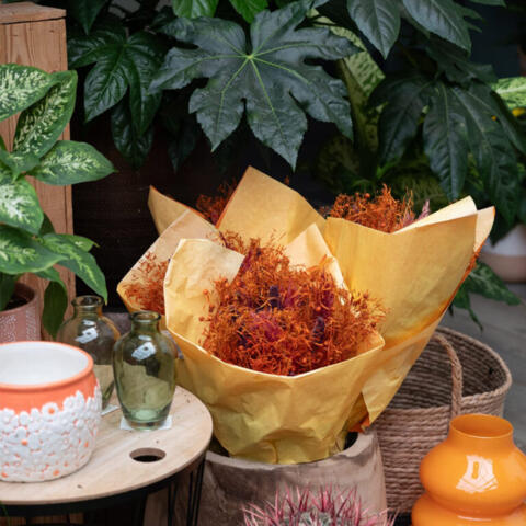 Snijbloemen