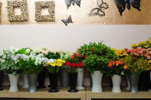slideshow1_2