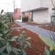 Aangelegde tuin met gazon en borders in Limburg