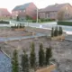 Onderhouden tuin door Lumen bv