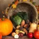 agriculture-basket-close-up-colorful-219