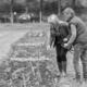 pluktuin-landgoed-lisbona-loppem-brugge-20 - - Hoe werkt de pluktuin