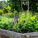 Eetbare borders: de perfecte combinatie tussen mooi en lekker