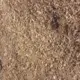 fijne houtsnippers 0/10