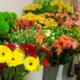 slideshow1_9