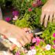 Maak de tuin vakantieproof