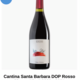 Cantina Santa Barbara DOP Rosso Piceno "Ste" 2020 - 2021