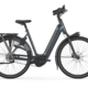 Gazelle - Grenoble C5 - Anthracite Grey Glans