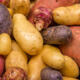 Aardappelen