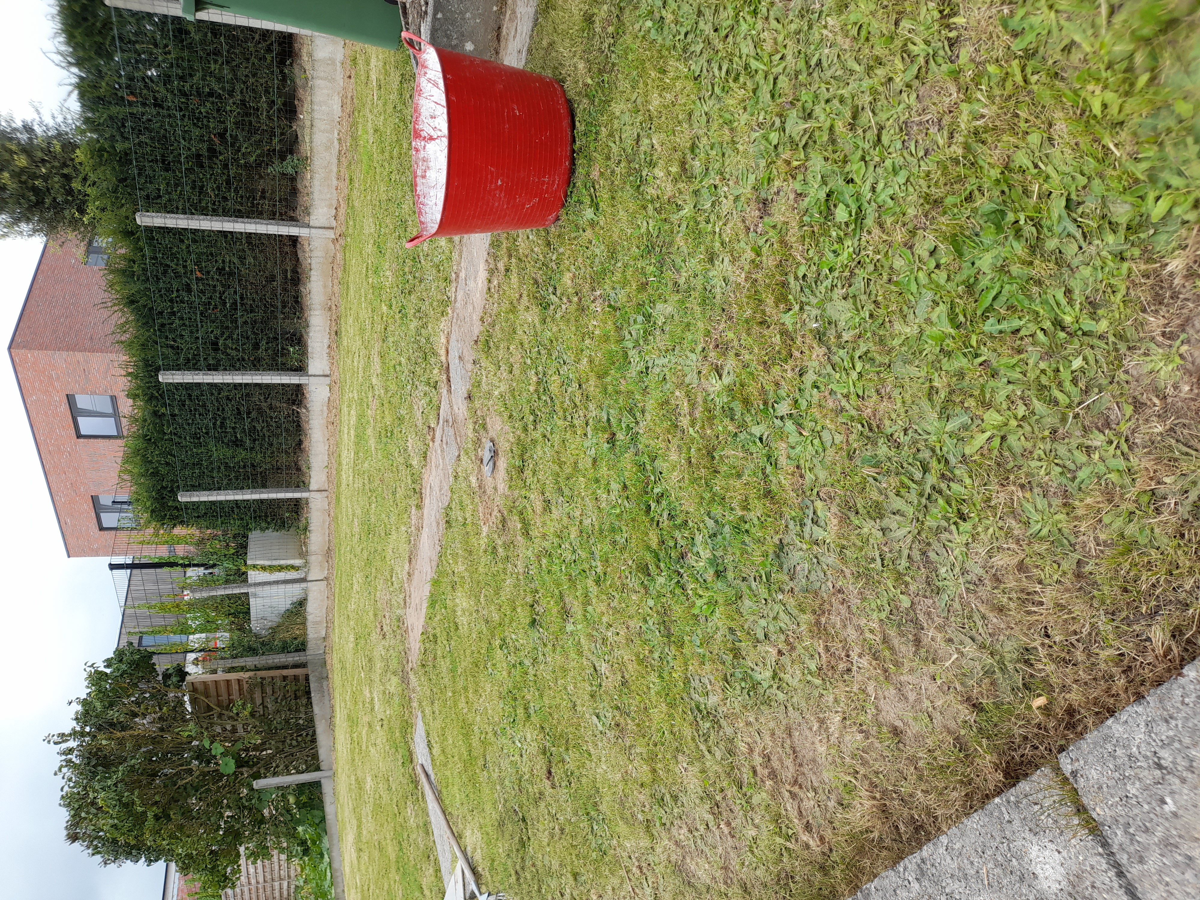 Rtklusjesdienst