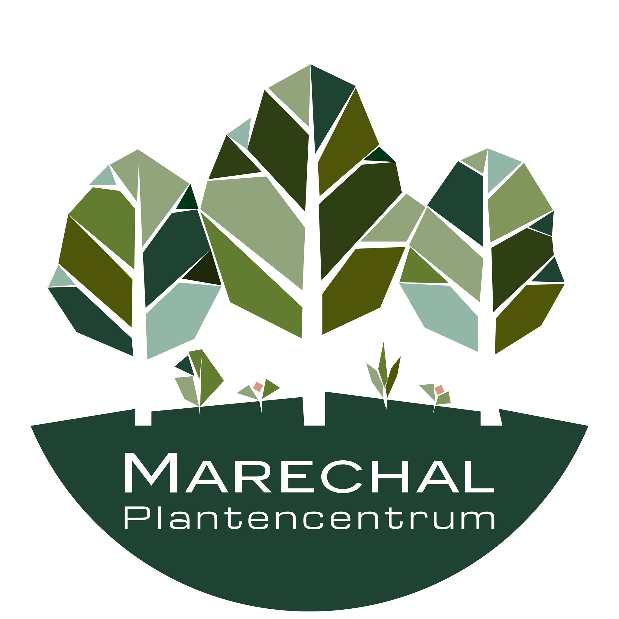 Plantencentrum Maréchal