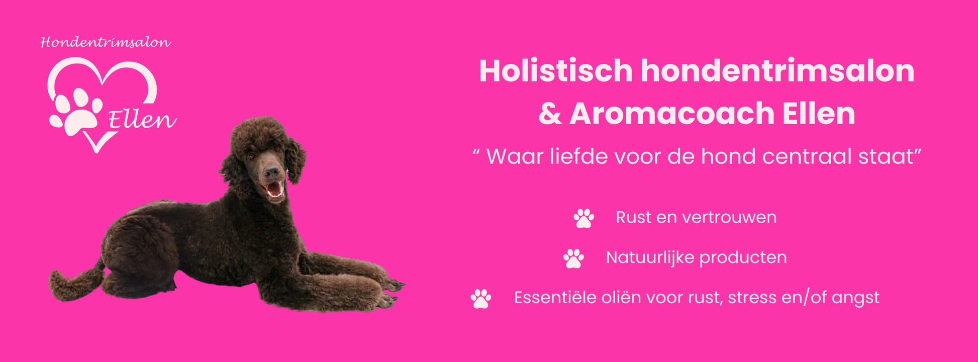 🐶 Hondentrimsalon Ellen – Verzorging met liefde
