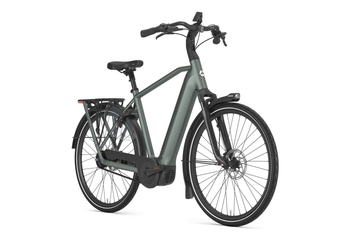 GAZELLE Grenoble C5+ First Edition HEREN Twilight Green Mat 61cm 2027