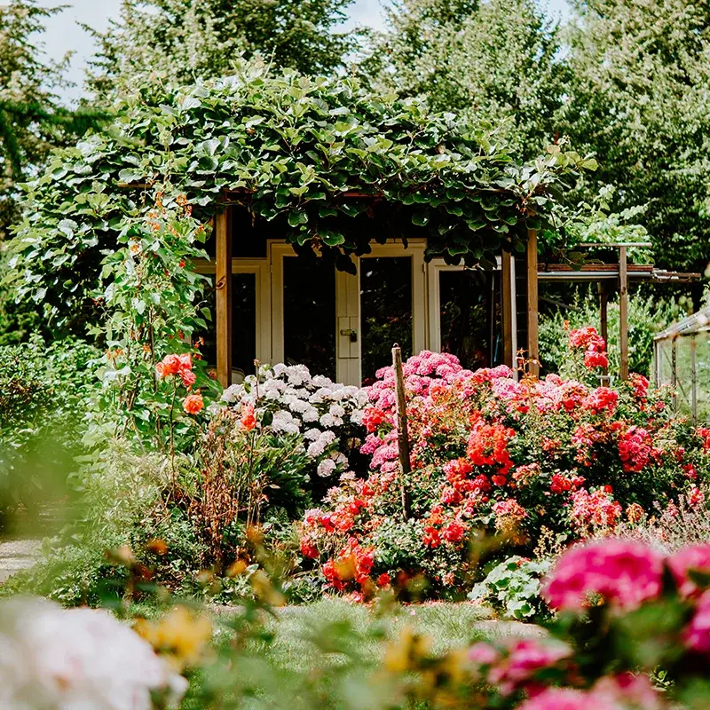 Tuincentrum Floralux: planten, decoratie en dierenbenodigdheden